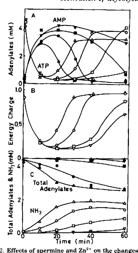 Figure 1 from AMP deaminase reaction as a control system of glycolysis ...