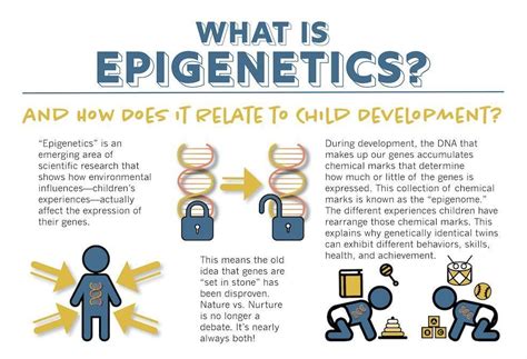 Beyond Nature or Nurture with Epigenetics | Epigenetics, Nature vs ...