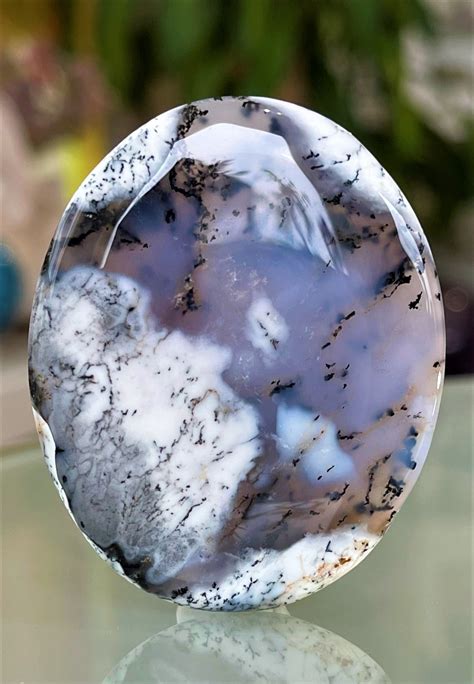 Dendriet Agaat Edelsteen Cabochon Ovaal Groot Jalla Stones