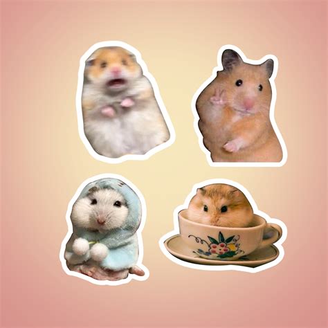 Hamster Meme Sticker Pack Pack of 4 waterproof funny hamster | Etsy