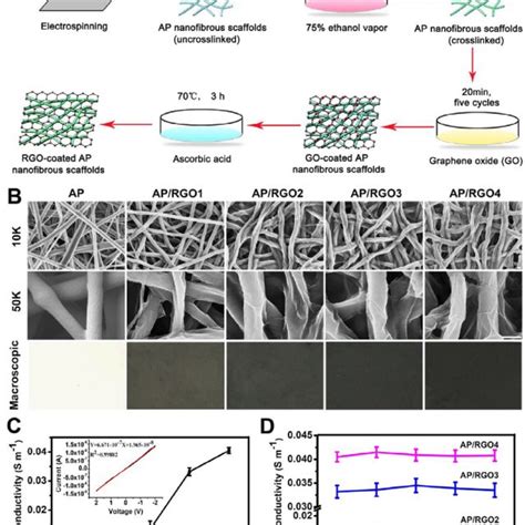 Schematic Illustration And Characterization Of RGO Coated Nanofibrous