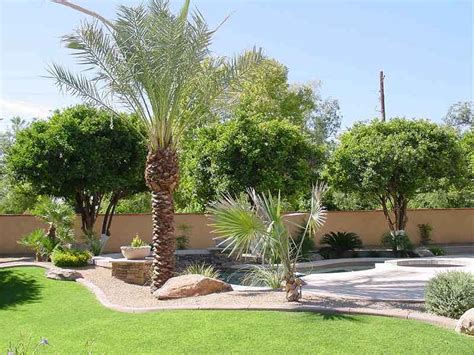 Arizona Backyard Landscaping Ideas on a Budget - Modern House Pictures