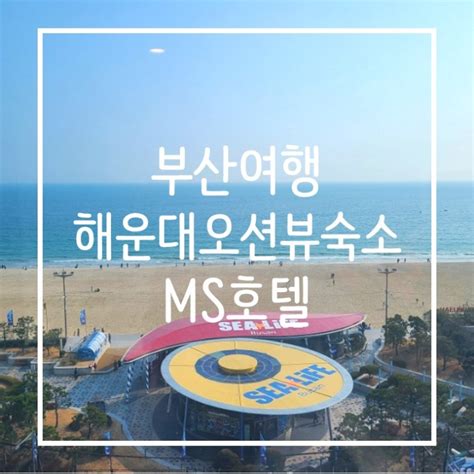 부산여행 부산호텔 해운대호텔 오션뷰 Ms호텔엠에스호텔내돈내숙 네이버 블로그