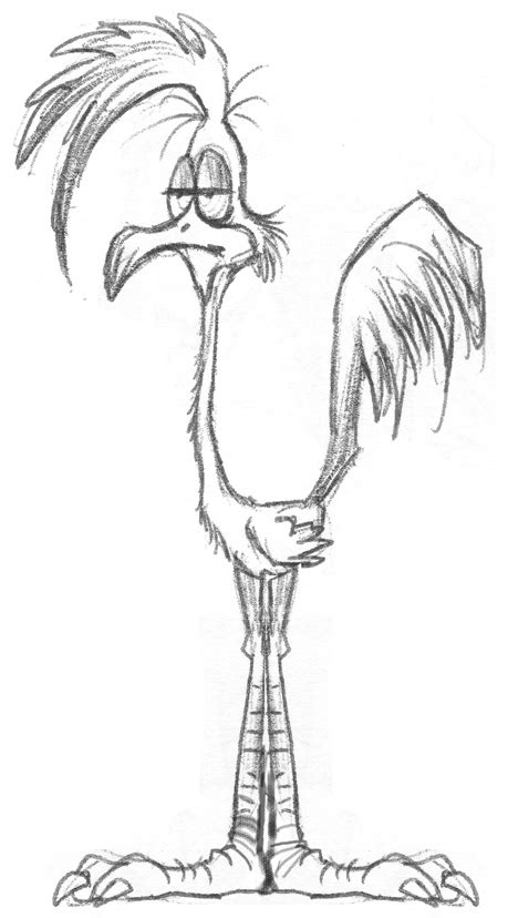 Road Runner Cartoon Drawing at GetDrawings | Free download