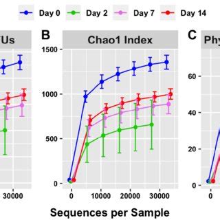 Alpha Diversity Within Sample Rarefaction Curves Measuring Species