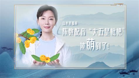 鲁花·《山水间的家》第二季收官：讲好山水之间的新时代“山乡巨变”广告频道央视网