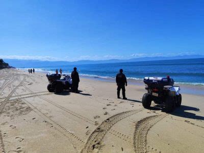 De Nueva Cuenta Reporta Un Cocodrilo En Playas De Nuevo Vallarta