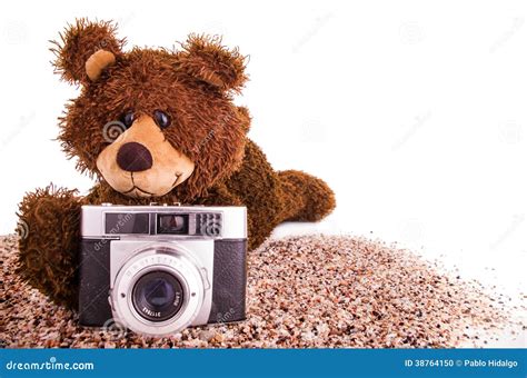 Cute Teddy Bear Is With A Camera On The Sand Stock Photo Image