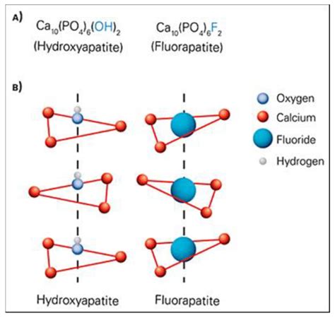 Ceramics | Free Full-Text | Hydroxyapatite for Biomedical Applications ...