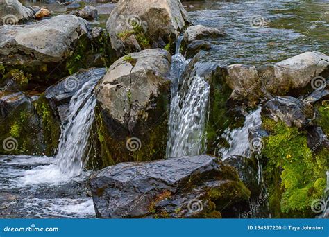 Water Flowing Through Rocks In A Mountain Stream Stock Photo Image Of