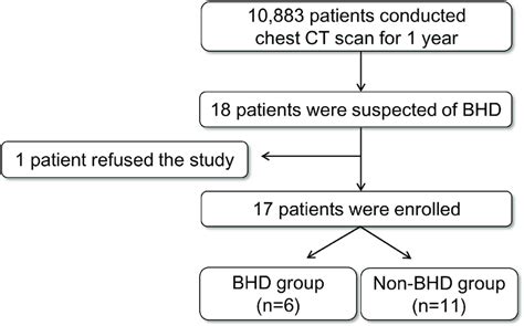 Study Flow Chart Ct Computed Tomography Bhd Birthoggdube