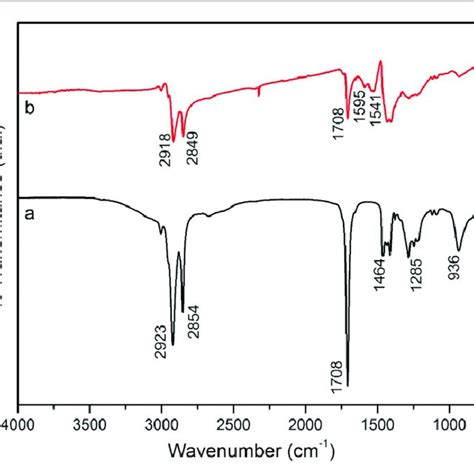 Ftir Spectra Of A Pure Oleic Acid And B Oleic Acid Coated Magnetite