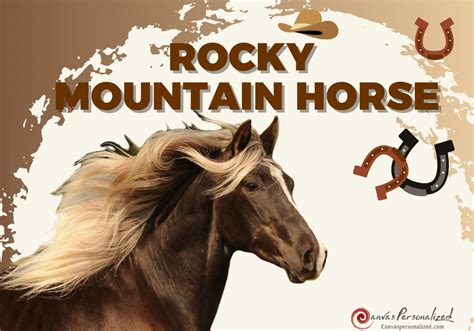 Discover Rocky Mountain Horse: Beauty And Versatility Breed