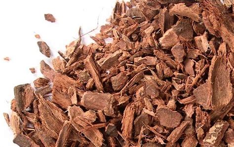 Where To Buy Bayberry Root Bark And Other Bark Herbs Roots