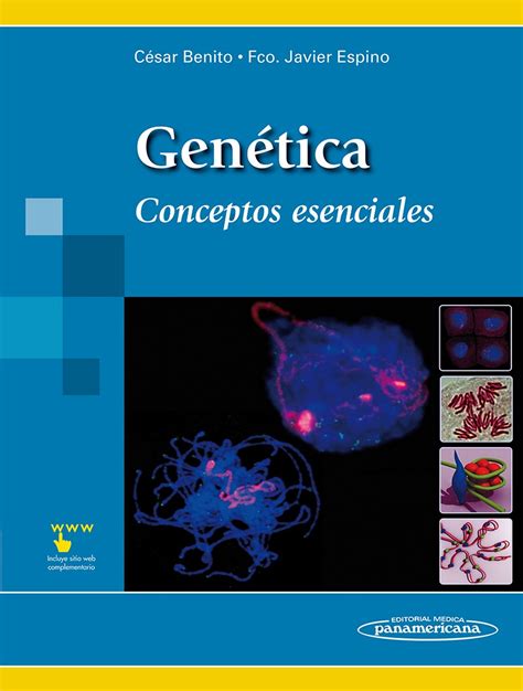 Gen Tica Conceptos Esenciales