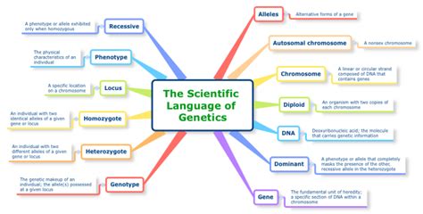 The Scientific Language Of Genetics Xmind Mind Map Template Biggerplate