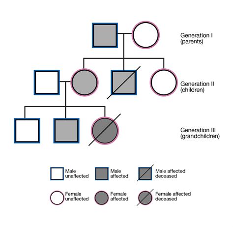 Pedigree How To Create A 3 Generation Pedigree —viquepedia