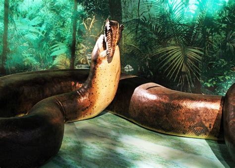 How Cool Are These Extinct Reptiles 4 H Animal Science Resource Blog