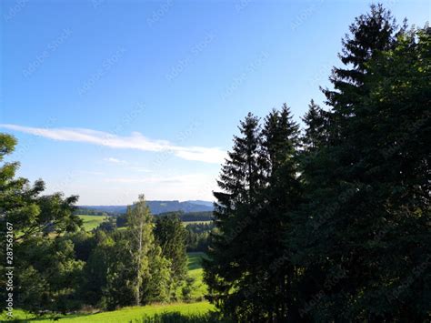 Landschaft Mit Wald Und Gr Nen Wiesen Im Sommer Bei Blauem Himmel Und