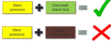 Intra Group Processes Flashcards Quizlet