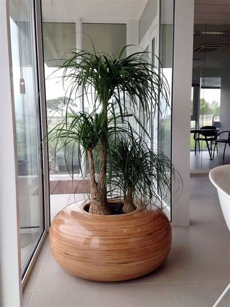 Inspiring Indoor Plant Corner Ideas