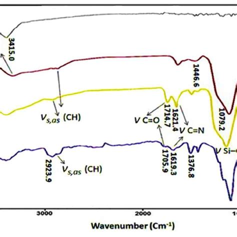 Ft Ir Spectra Of A Fe 3 O 4 B Fe 3 O 4 Sio 2 Nh 2 C Fe 3 O