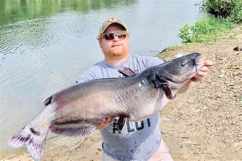 Angler Catches State Record Channel Catfish Two Years In A Row News