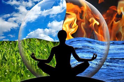 Fleur de Lotus Brasil: ENERGIA DA NATUREZA