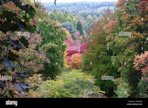 Autumn Trees Winkworth National Trust Arboretum Stock Photo - Alamy