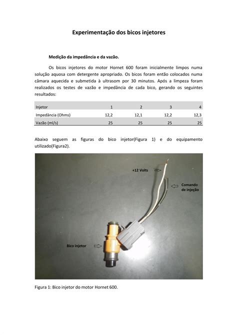 PDF Teste Dos Bicos Injetores DOKUMEN TIPS