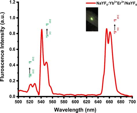 Upconversion Luminescence Spectrum Of UNPCore Shell NaYF4