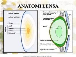 Lensa Mata : Definisi, Fisiologi, Patofisiologi & Ujian