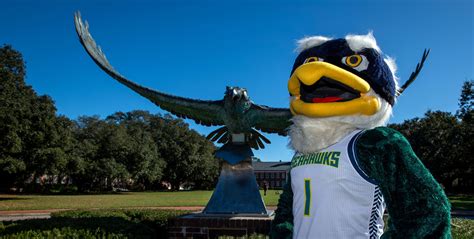 2020 Fundraising Results - University of North Carolina Wilmington - University of North ...