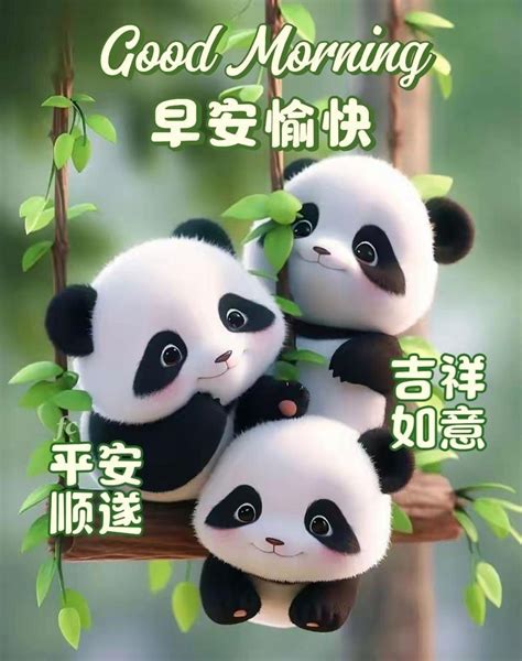 Pin by xiong on Animal 收 in 2024 Good morning wishes Good morning