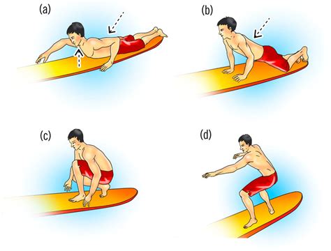 Position Of The Body During Surfing A Prone Position With Raised