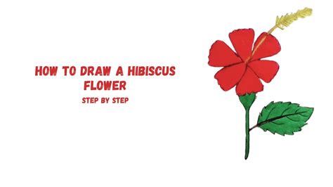 How To Draw A Hibiscus Flower Step By Step Very Easily Youtube