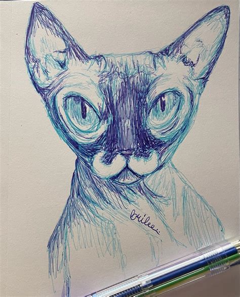 Sphynx Cat by niavalli on DeviantArt