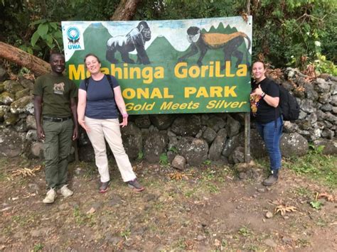 Fly To Entebbe And Trek Gorillas In Mgahinga Eco Adventure Safaris