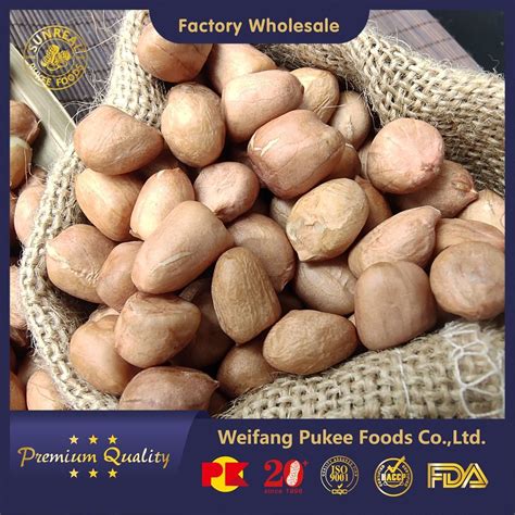 Raw Peanut Kernels Hsuji Type 70 80 Selected Vacuum Bags Cartons