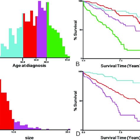 Identification Of Optimal Cutoff Values Of Age Of Diagnosis A B And