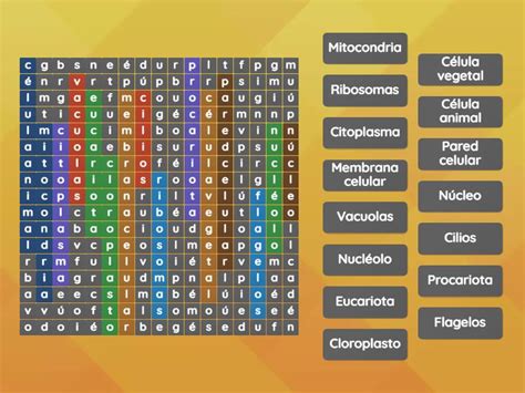 CÉlula Procariota Y Eucariota Sopa De Letras