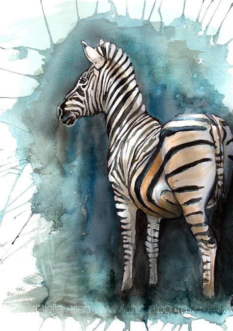 Zebra | Danielle Allen Animal Artist | Animal Portraits