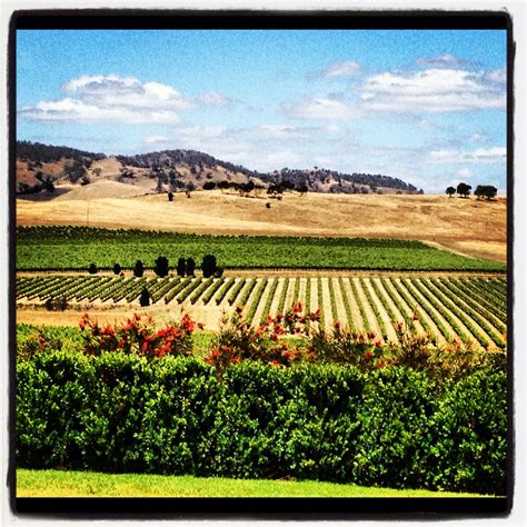 The Barossa Valley, South Australia. What an amazing country I live in ...