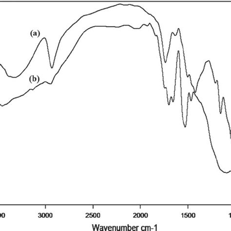 Ft‐ir Spectra Of A Ca‐βcd And B Coca‐βcd Composite Download