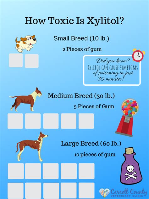 Is Xylitol Dangerous For Dogs