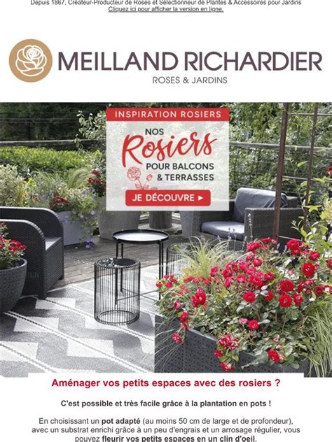 Meilland Richardier Aménager vos petits espaces avec des rosiers