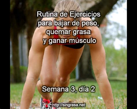 Ejercicios Para Quemar Grasa Y Ganar M Sculo Semana D A