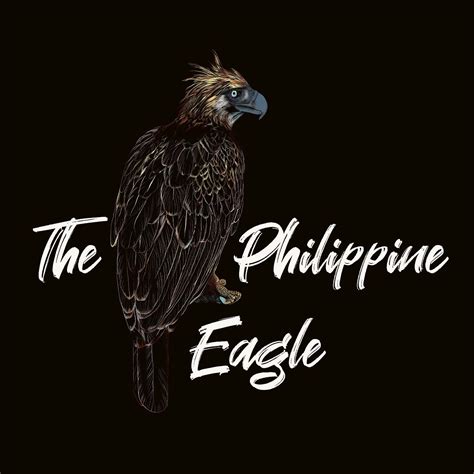 Philippine Eagle- Haribon | Philippine eagle, Wildlife day, Bird watchers