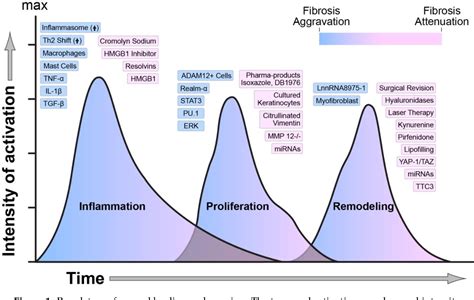 Figure From Current Approaches Targeting The Wound Healing Phases To