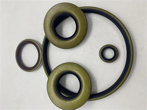 Brown Fkm Framework Oil Seal Musashi China Oil Seal And